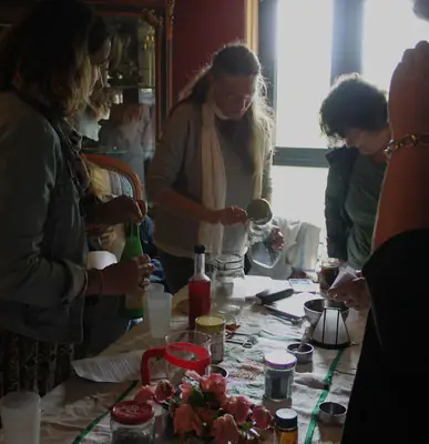 Ateliers-cueillettes de plantes sauvages