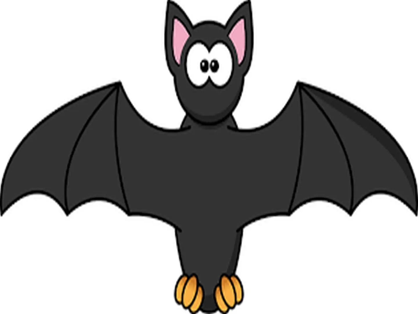 Soirée chauve-souris avec Mendi Gaiak
