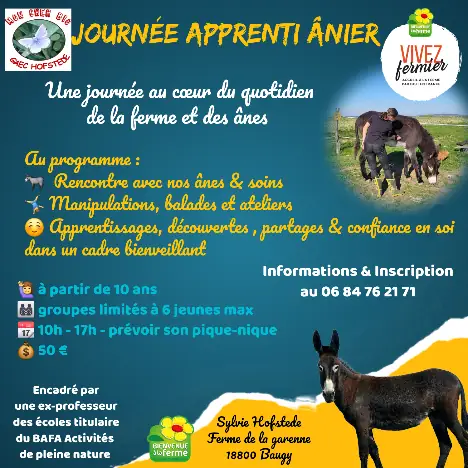 Activités estivales à la ferme 2026