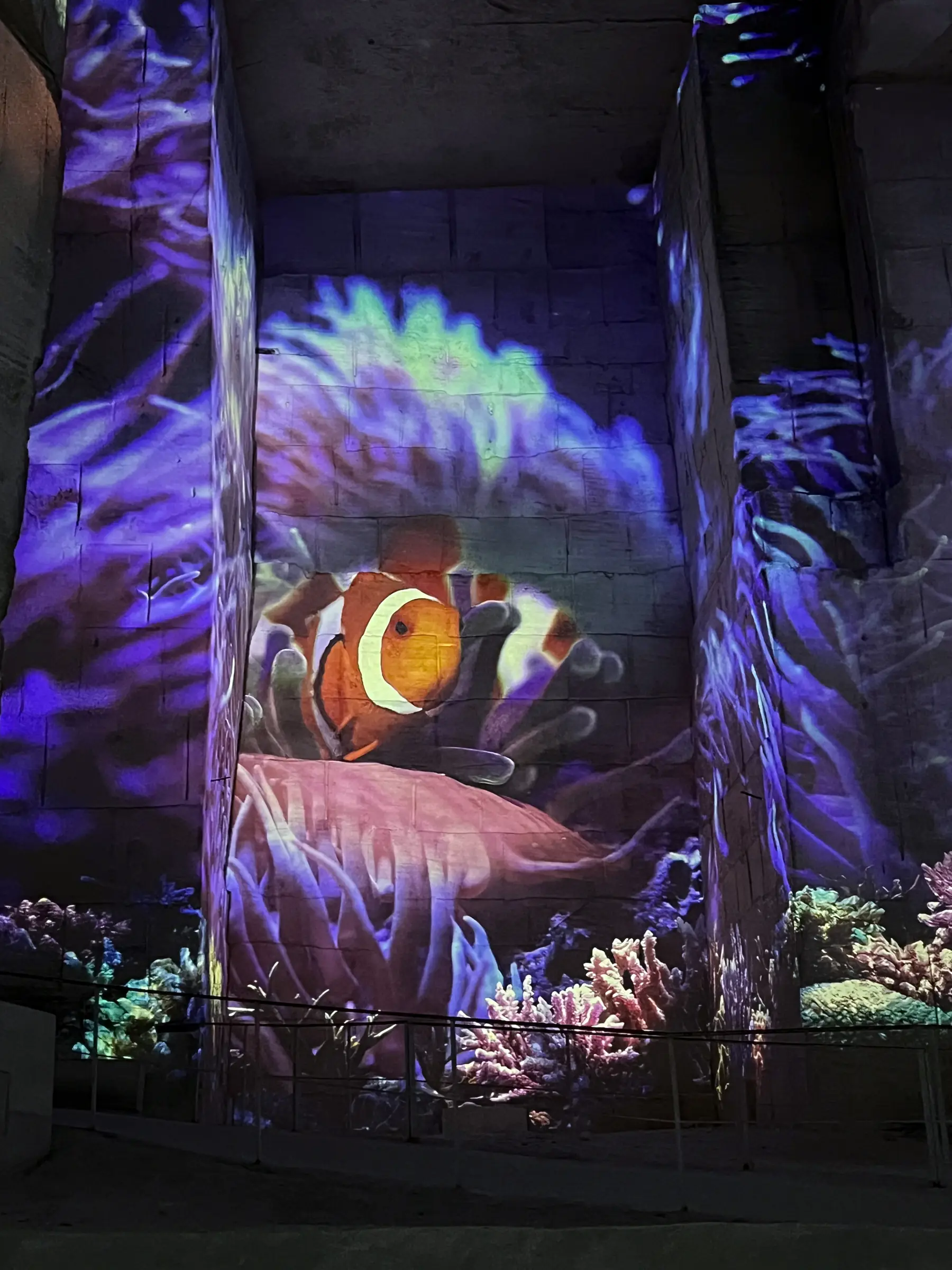 Carrières-des-Lumières : Océan, immersion dans le monde sous-marin