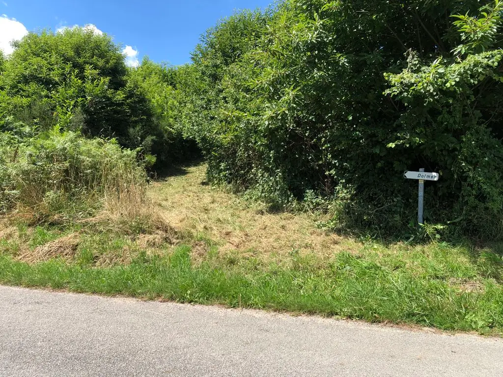 Dolmen du Bois Neuf