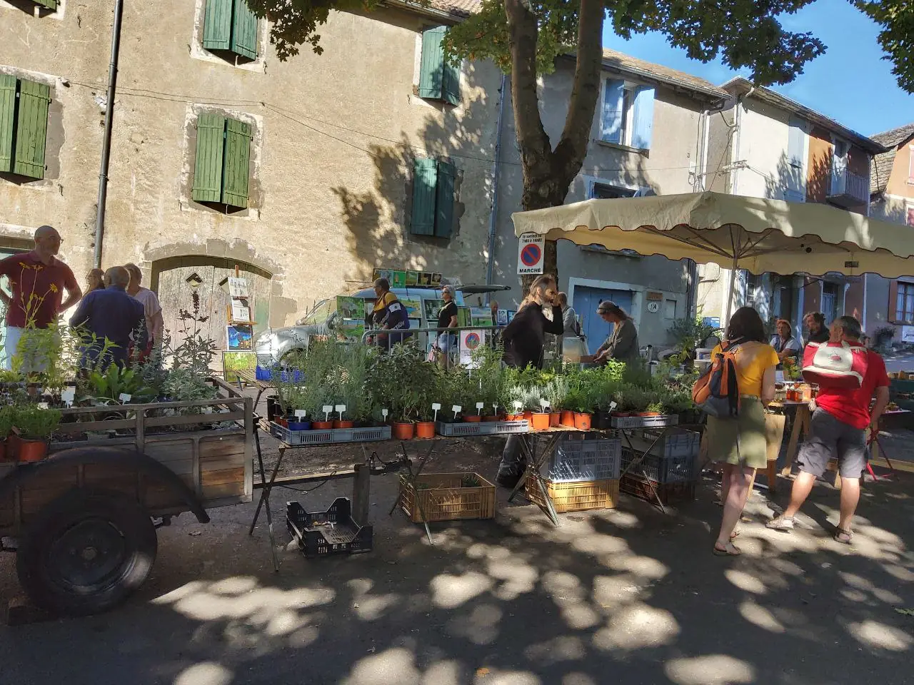 MARCHÉ DE SAINT-GERMAIN-DE-CALBERTE
