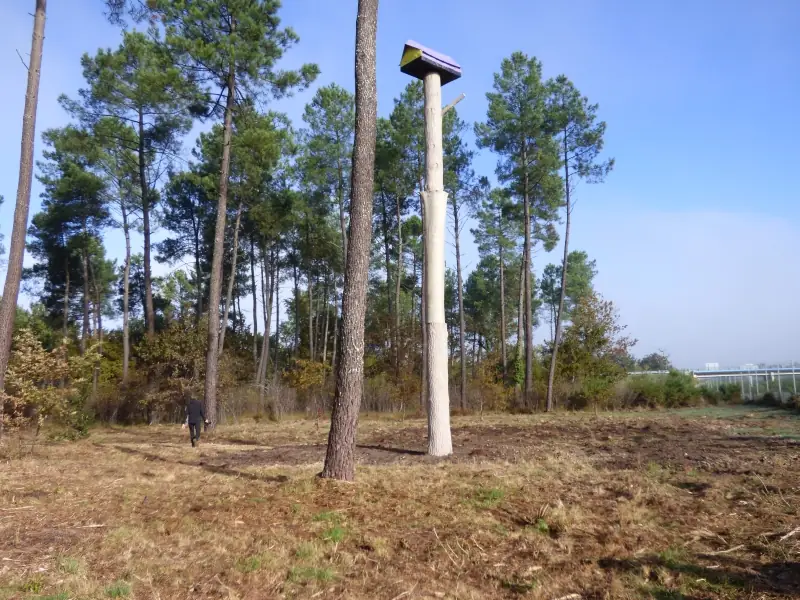 La Forêt d'Art Contemporain : "Le Pavillon", oeuvre n°17