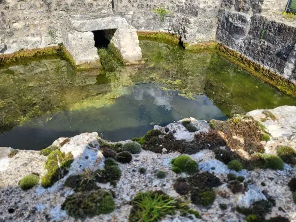 Site archéologique Aquae Segetae