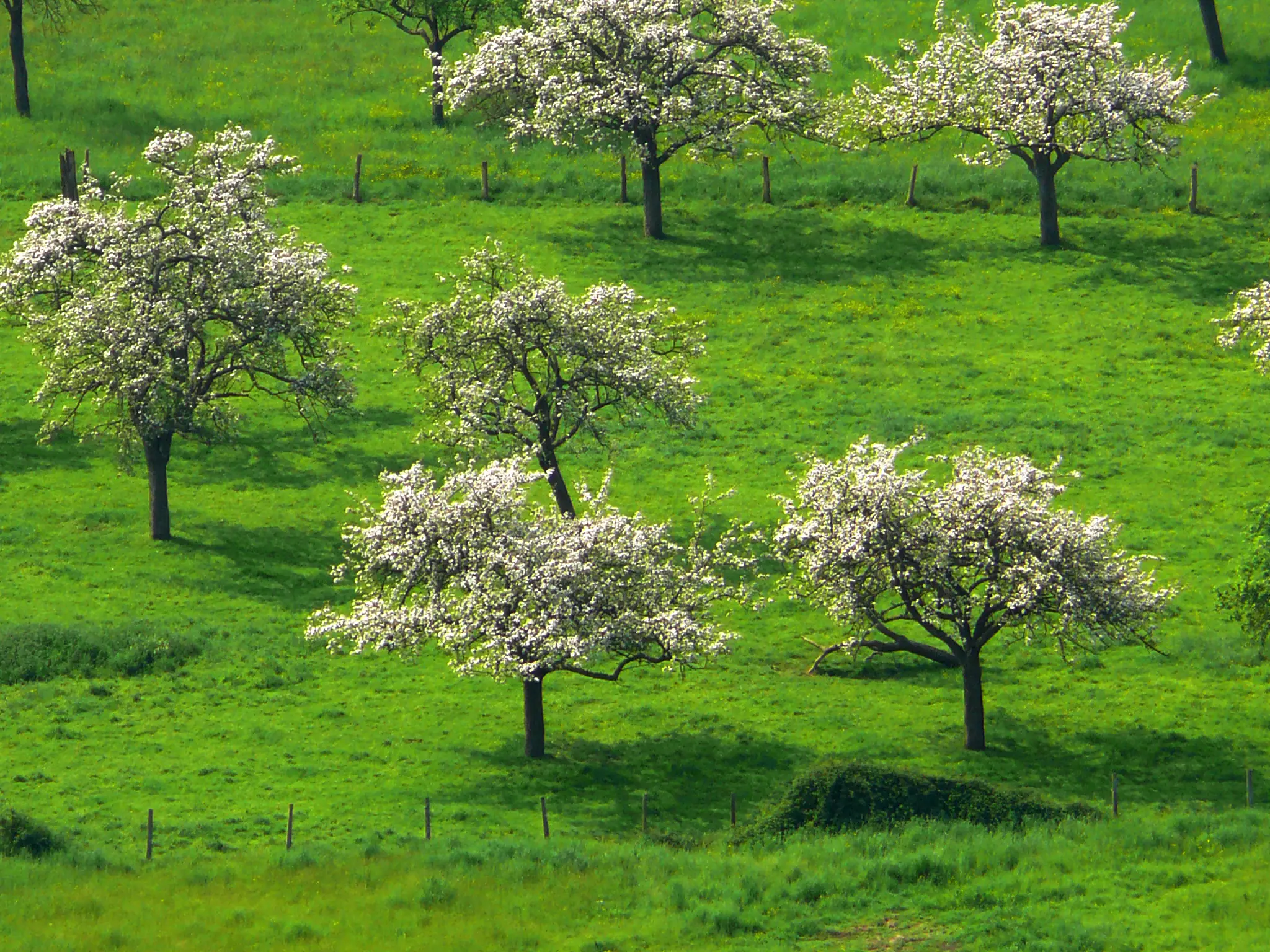 Visite "Bio et Local" au Manoir d'Apreval