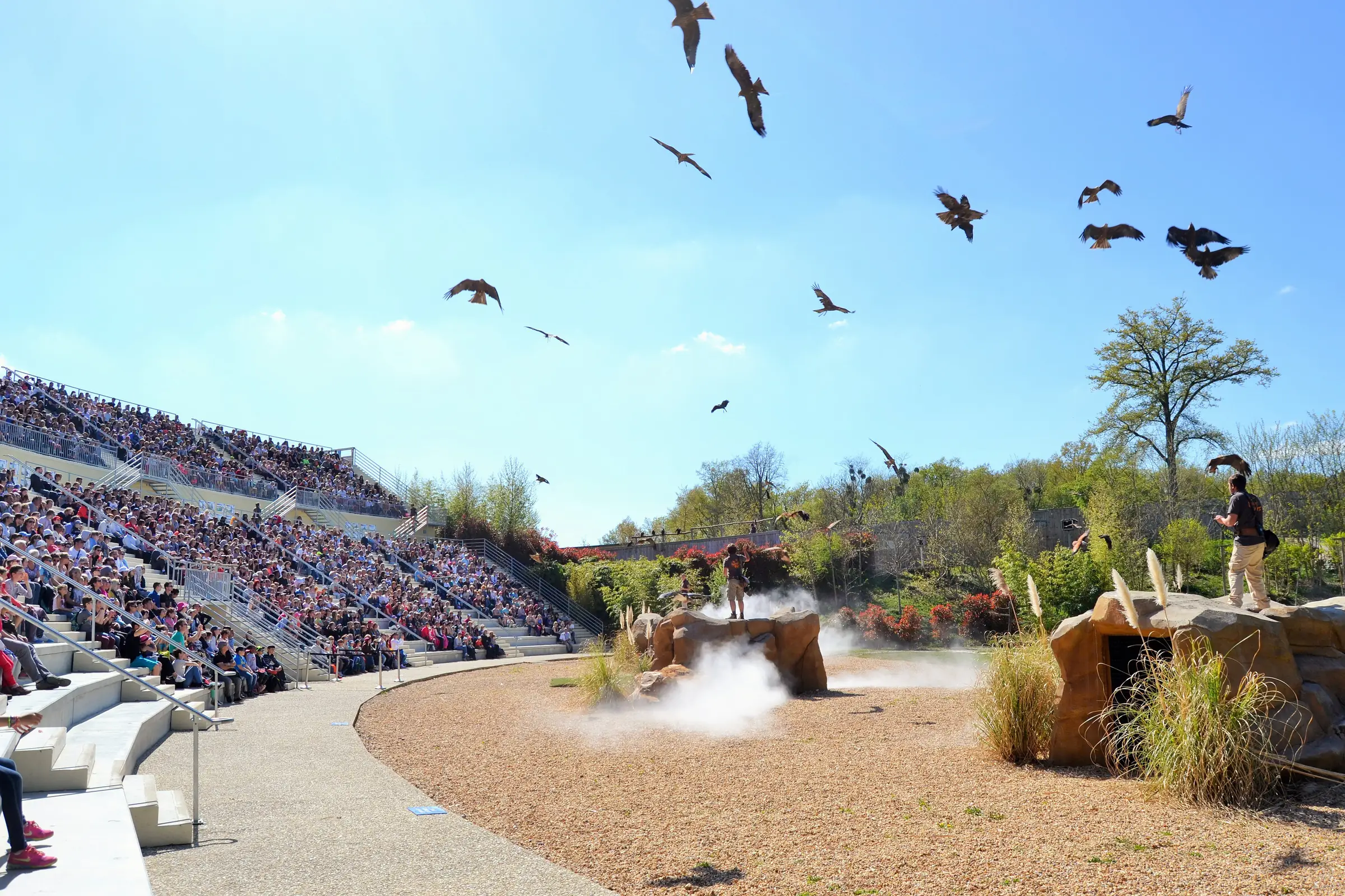 Les Maîtres des Airs et L'Odyssée des Lions de Mer au ZooParc de Beauval