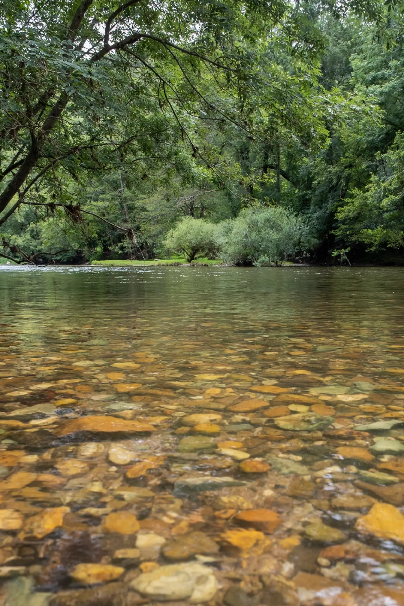Célé'té à Marcilhac : Forêt et climat, comprendre l'interaction entre l'air, l'eau et la végétation.