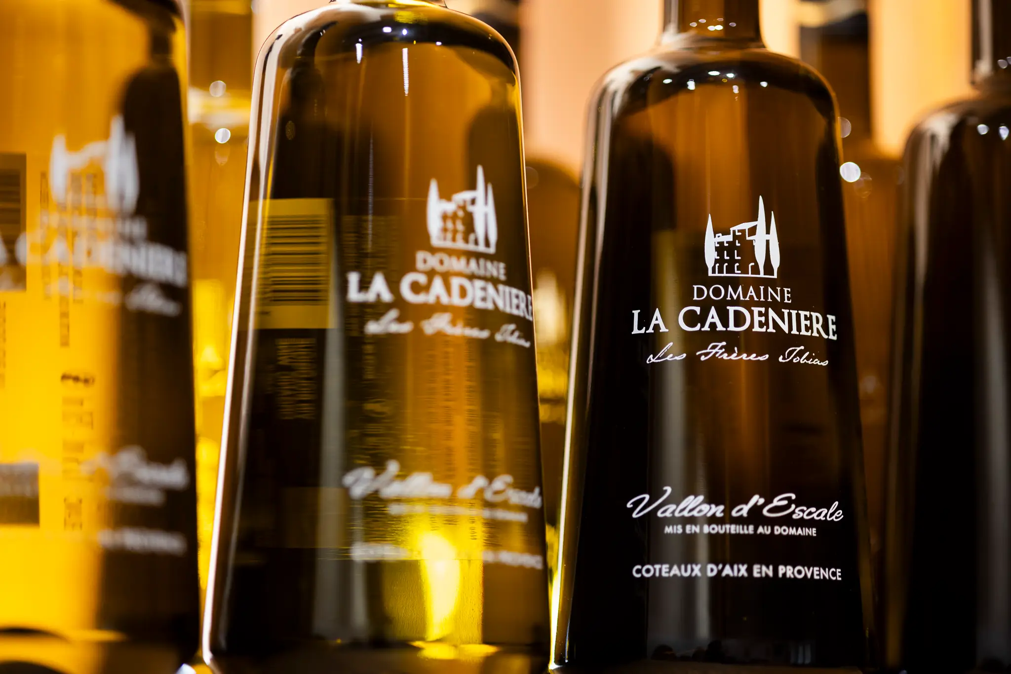 Visite de la cave du Domaine la Cadenière