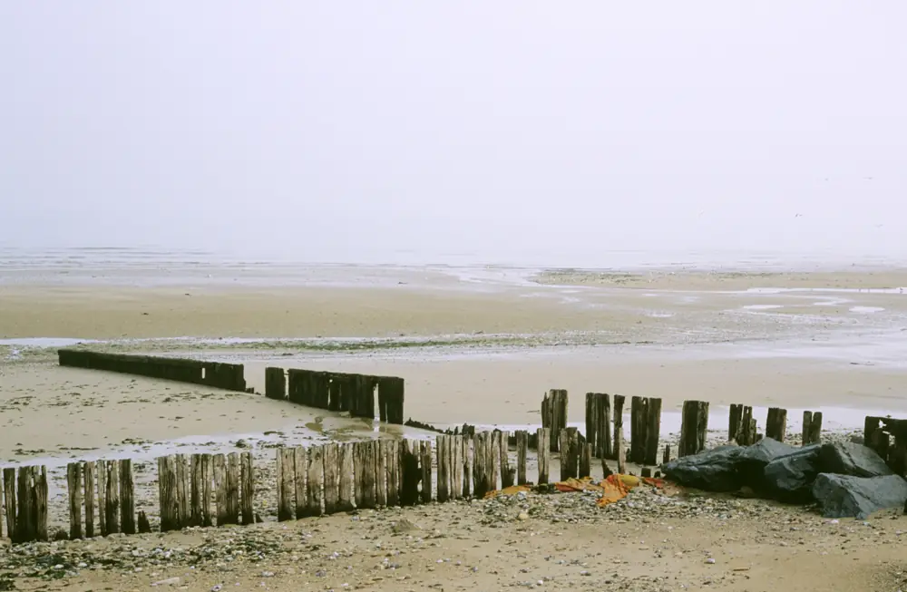 Mais qui se cache dans ce marais de Ver-sur-Mer/ Meuvaines ?