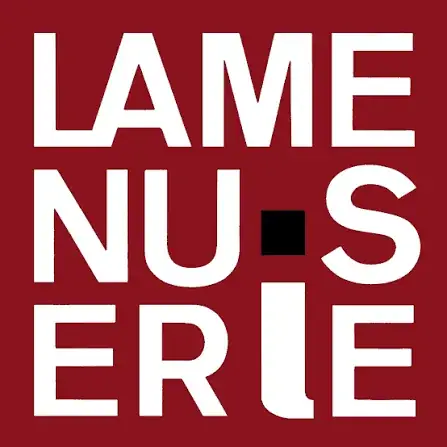 Concert : " Cordes & Souffle : Rencontre musicale entre Cluj et la France "