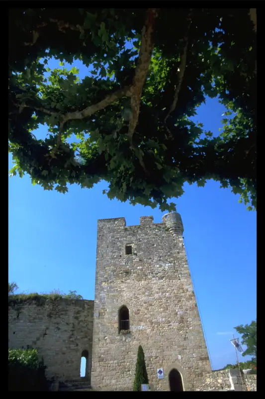 Musée de Capdenac le Haut