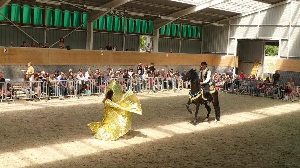 Spectacle EquiDanse