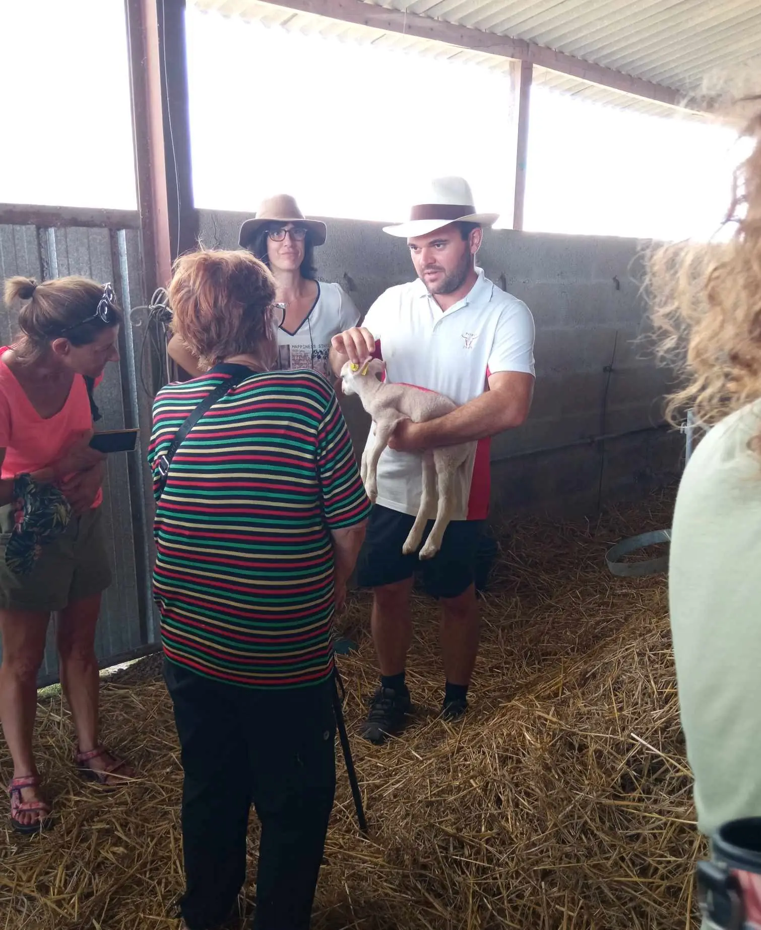Accueil à la Ferme : Ferme Bovine et Ovine et Brasserie Dobla en Pays de Saint-Aulaye