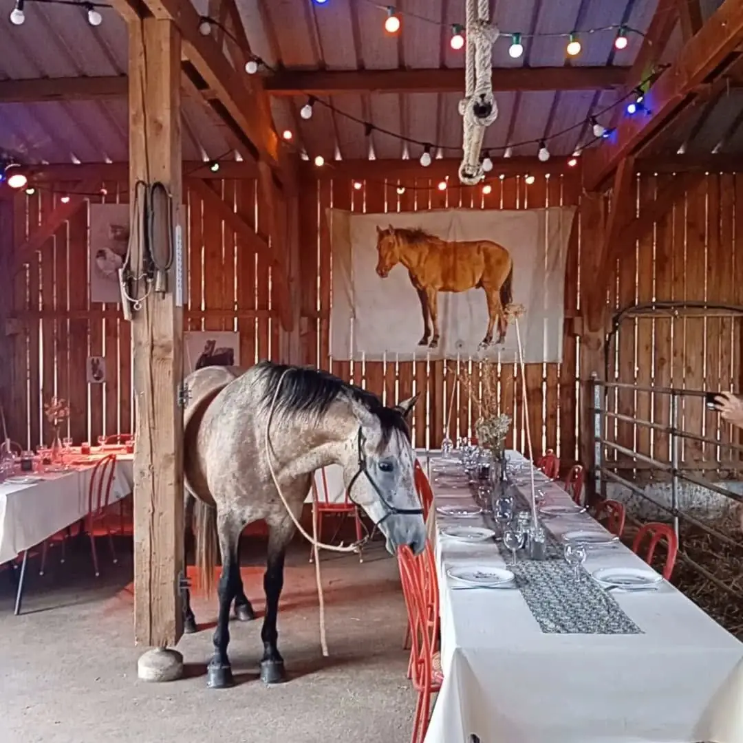 Les Banquets de l'été à la Jumenterie!