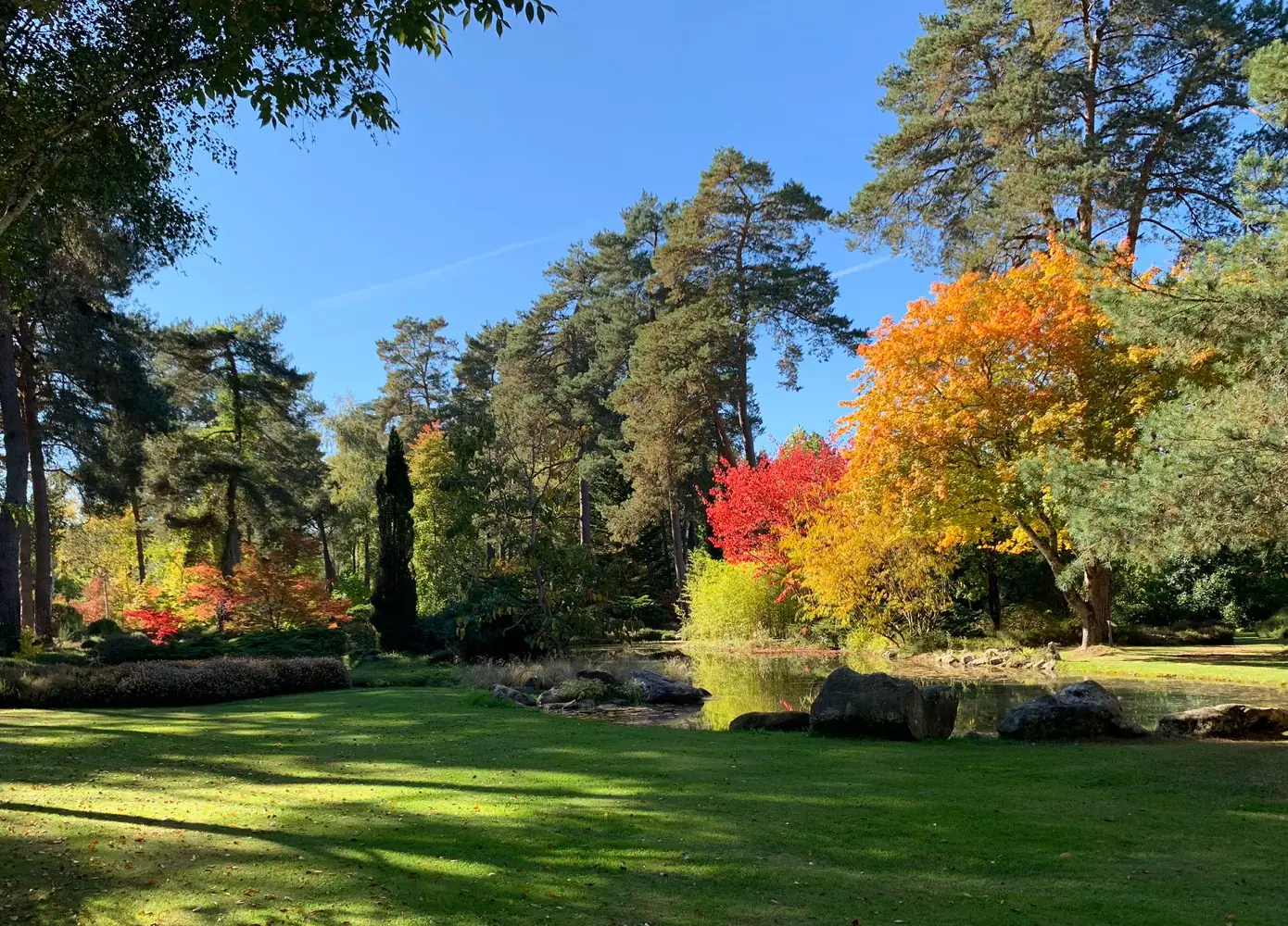 Dimanches d'Automne