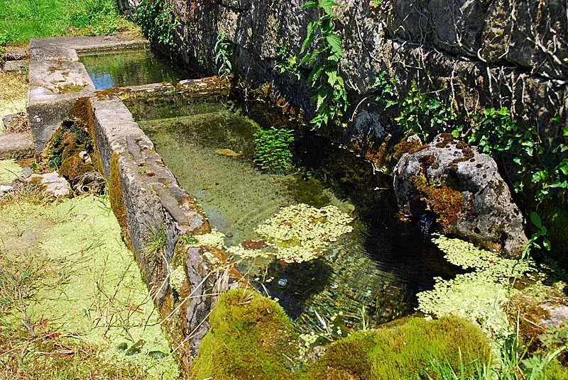 Auges d'eau vives à Vieux-Moulins