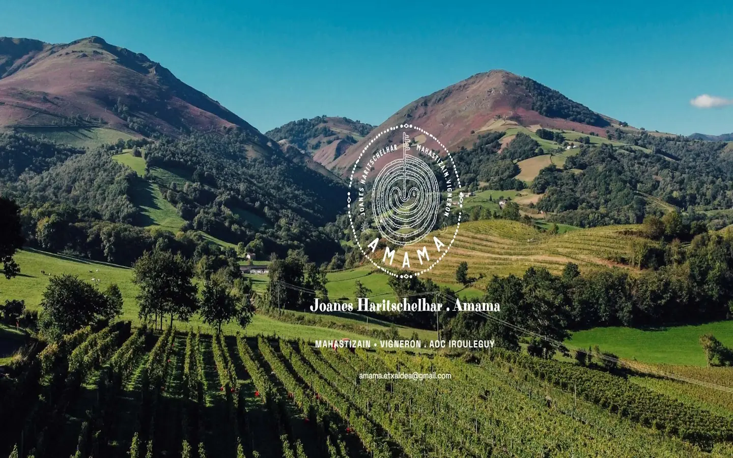 Visite du domaine Amama-AOP Irouléguy