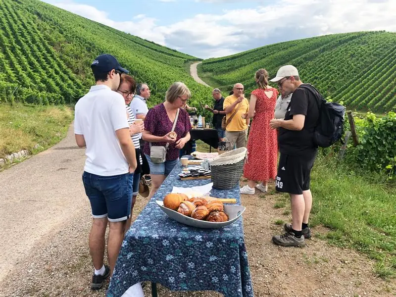 Petit-déjeuner dans les vignes