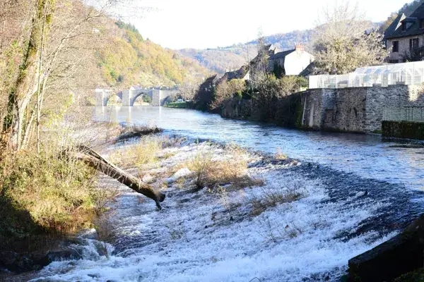 Lâchers de truites sur le Lot à Entraygues-sur-Truyère