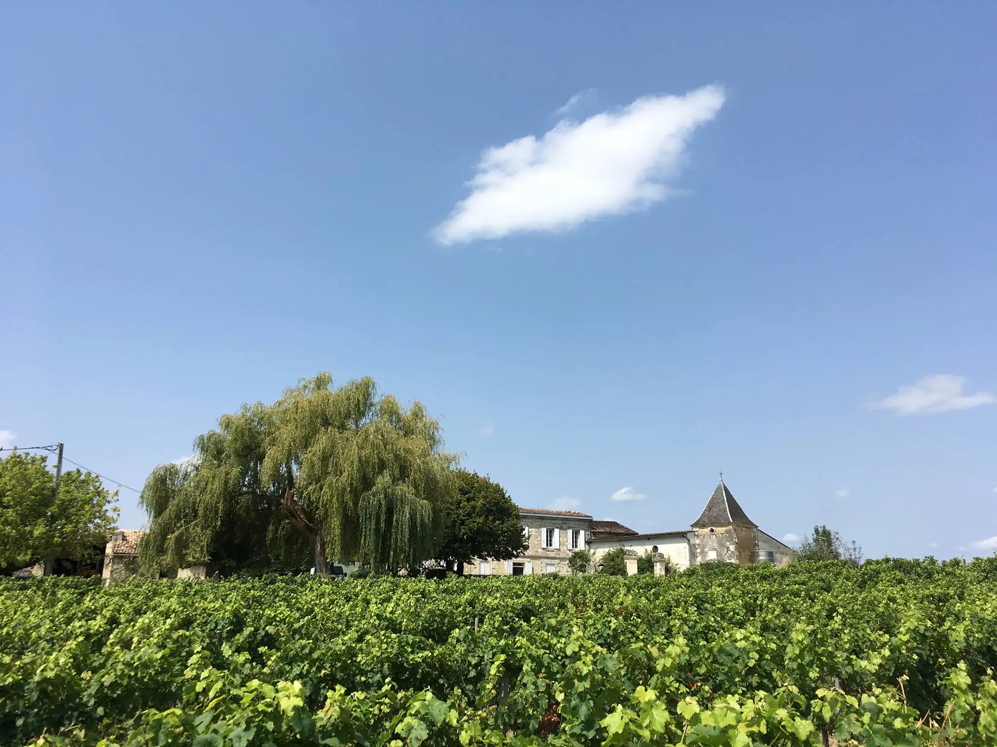 Château La Brande - "Un dimanche au Château en Fronsadais-Libournais"