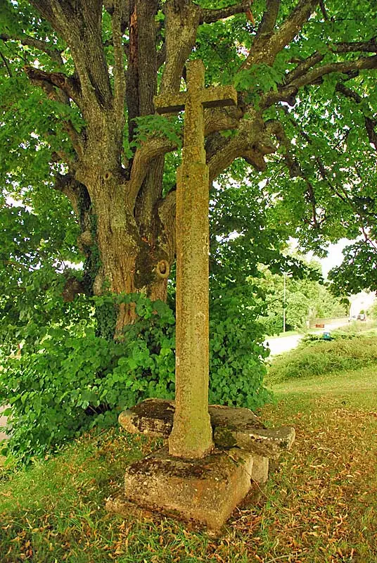 Croix de Saint-Broingt-les-Fosses
