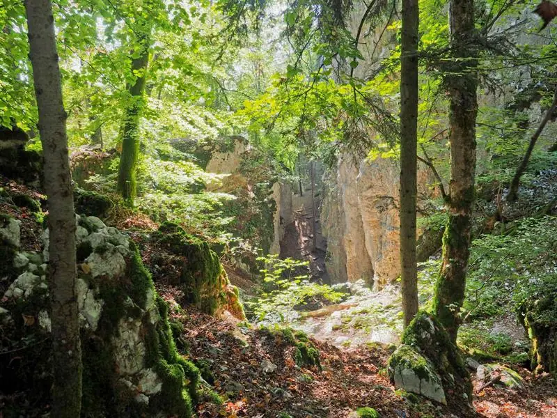 Balade contée de la grotte des nains