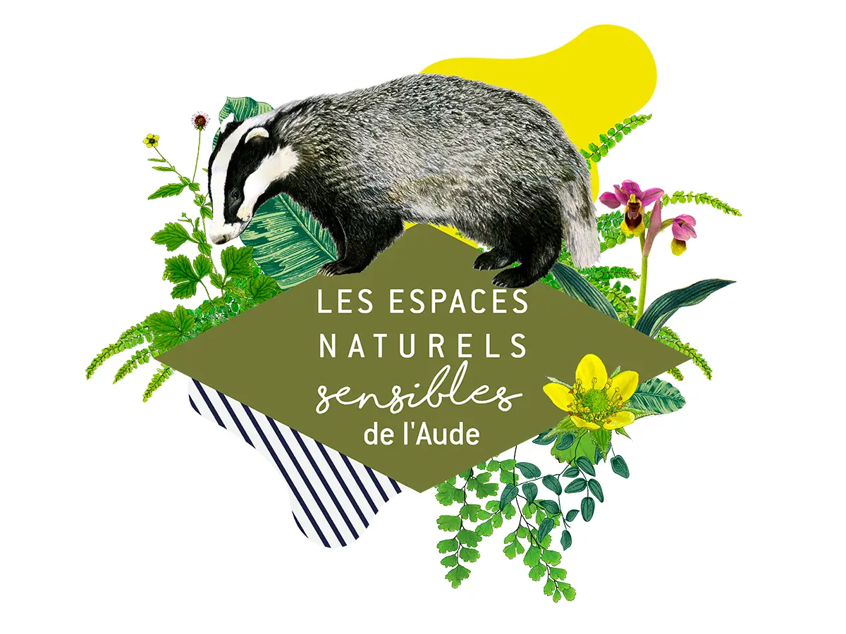 ENS - ET LE VENT SOUFFLE SUR LA CLAPE !