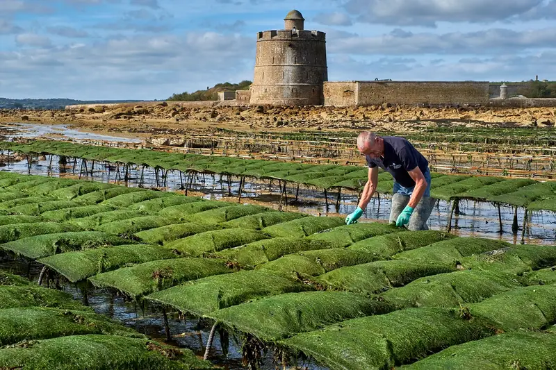 Les Jardins Ostréicoles de Tatihou
