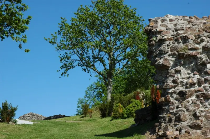 Vestiges du Château Ducal