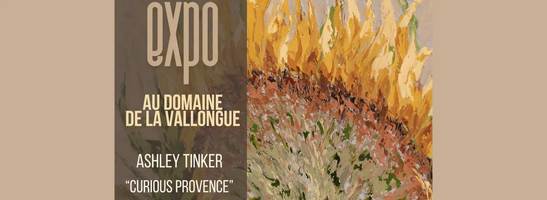 Exposition au Domaine de la Vallongue : Ashley Tinker