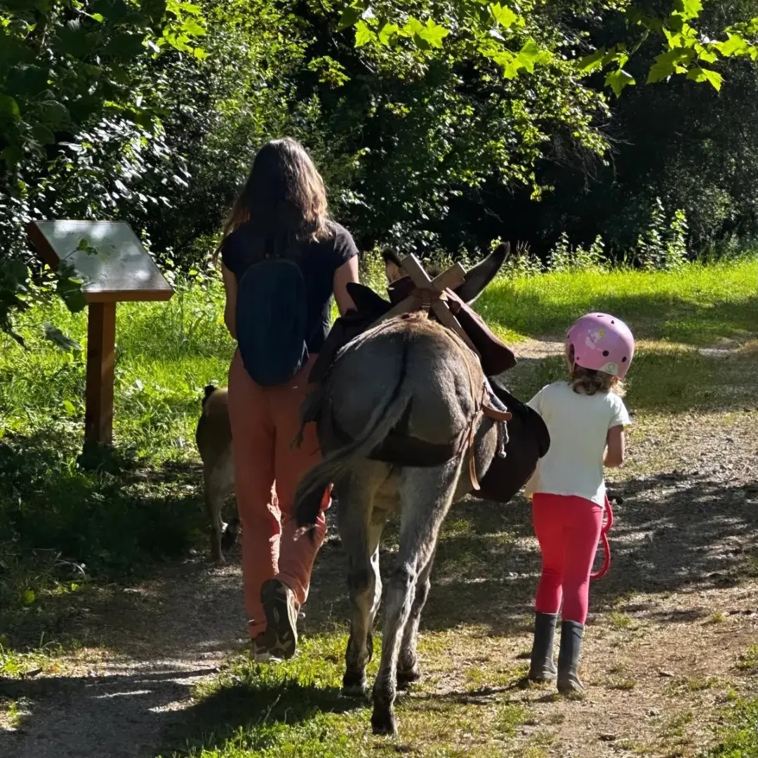 Uzerche à pas d'âne