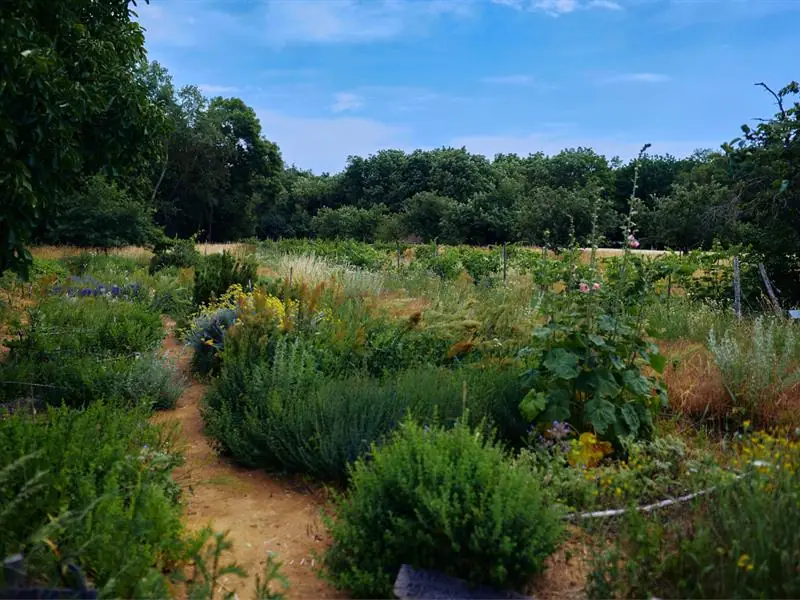 Rendez-vous nature : À la découverte de la nature