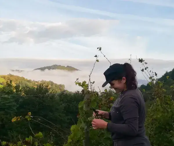 Domaine des Buis