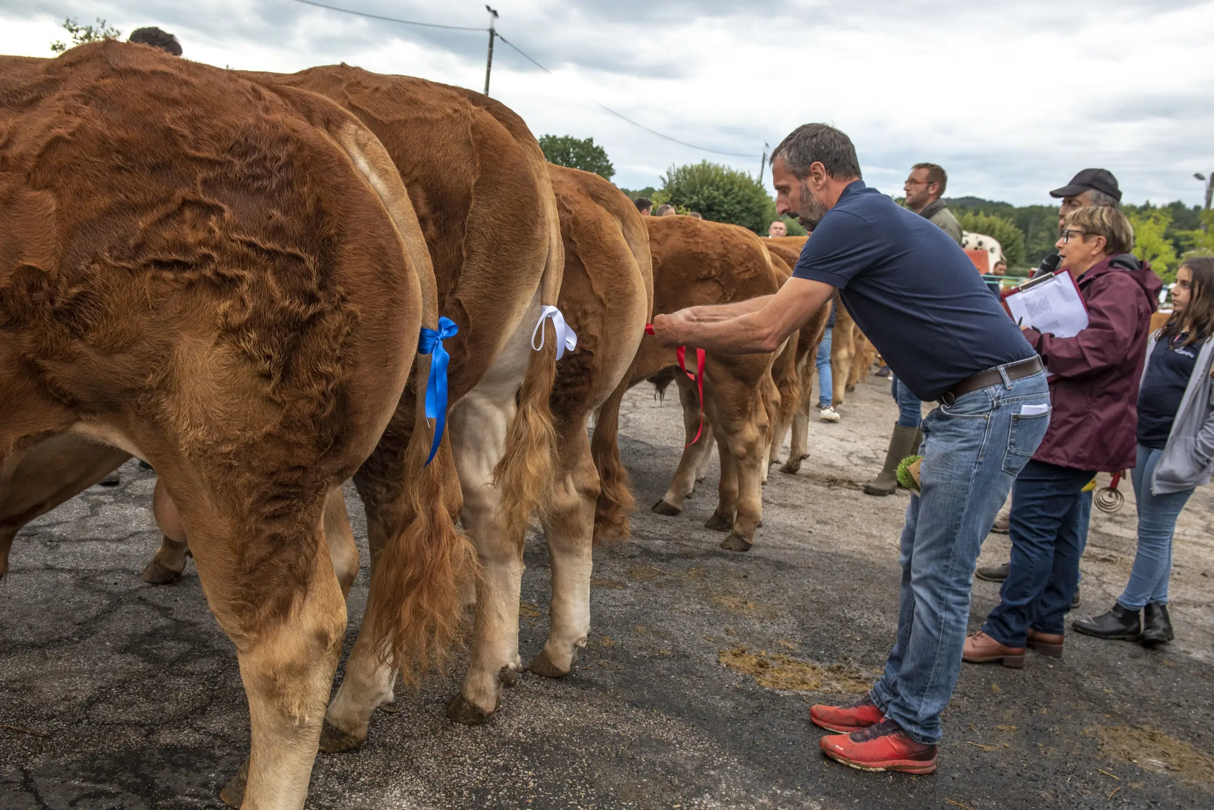 Comice agricole, Château-Chervix en fête!