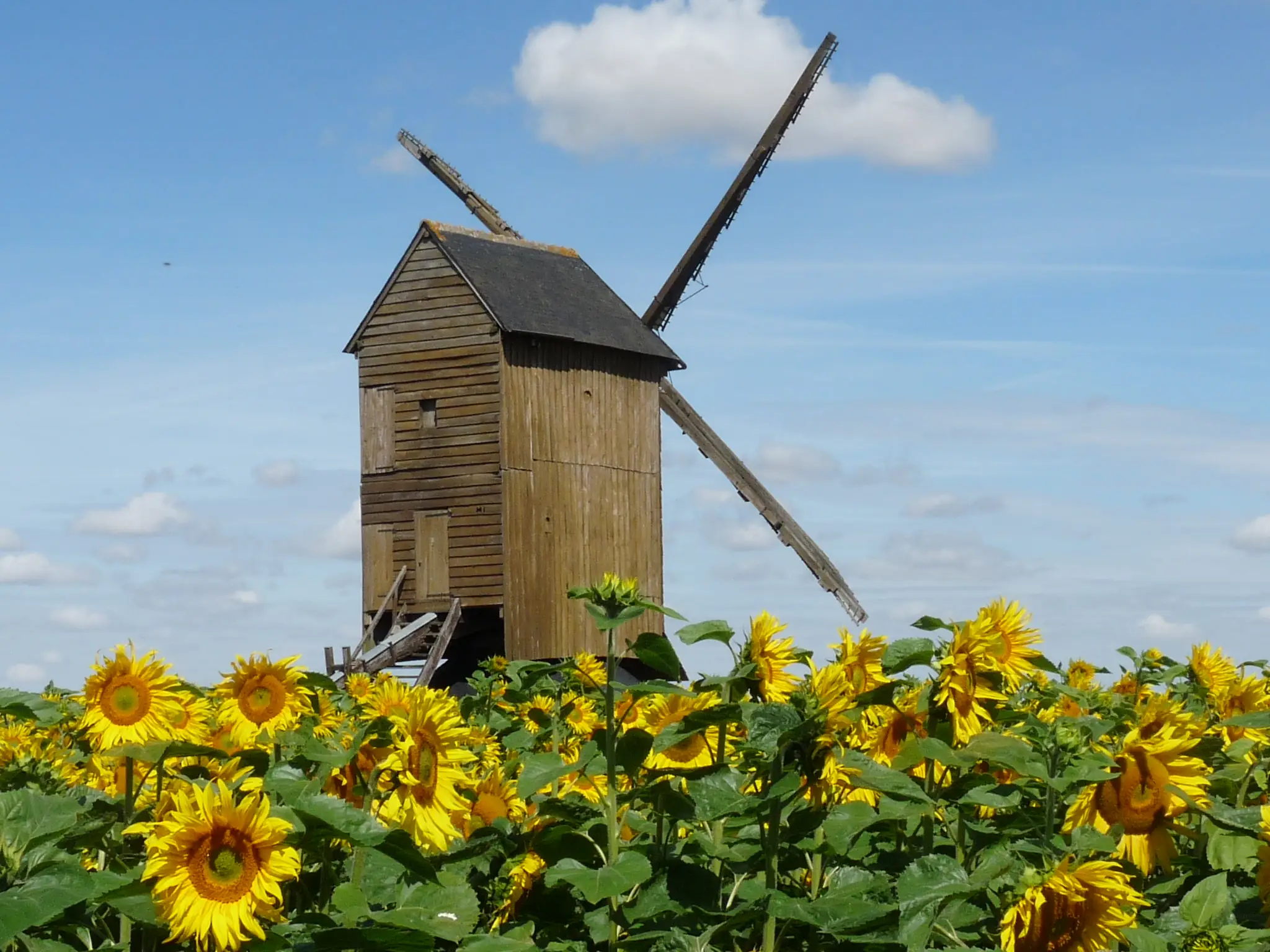 Moulin à vent Gaillardin