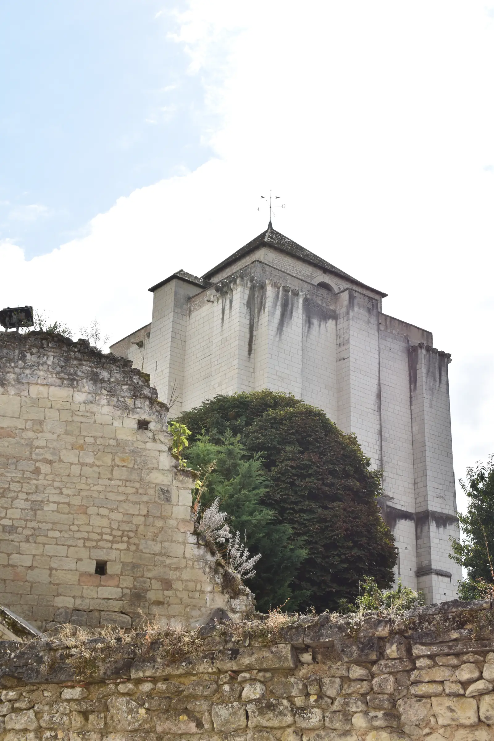 Donjon de La Roche-Posay