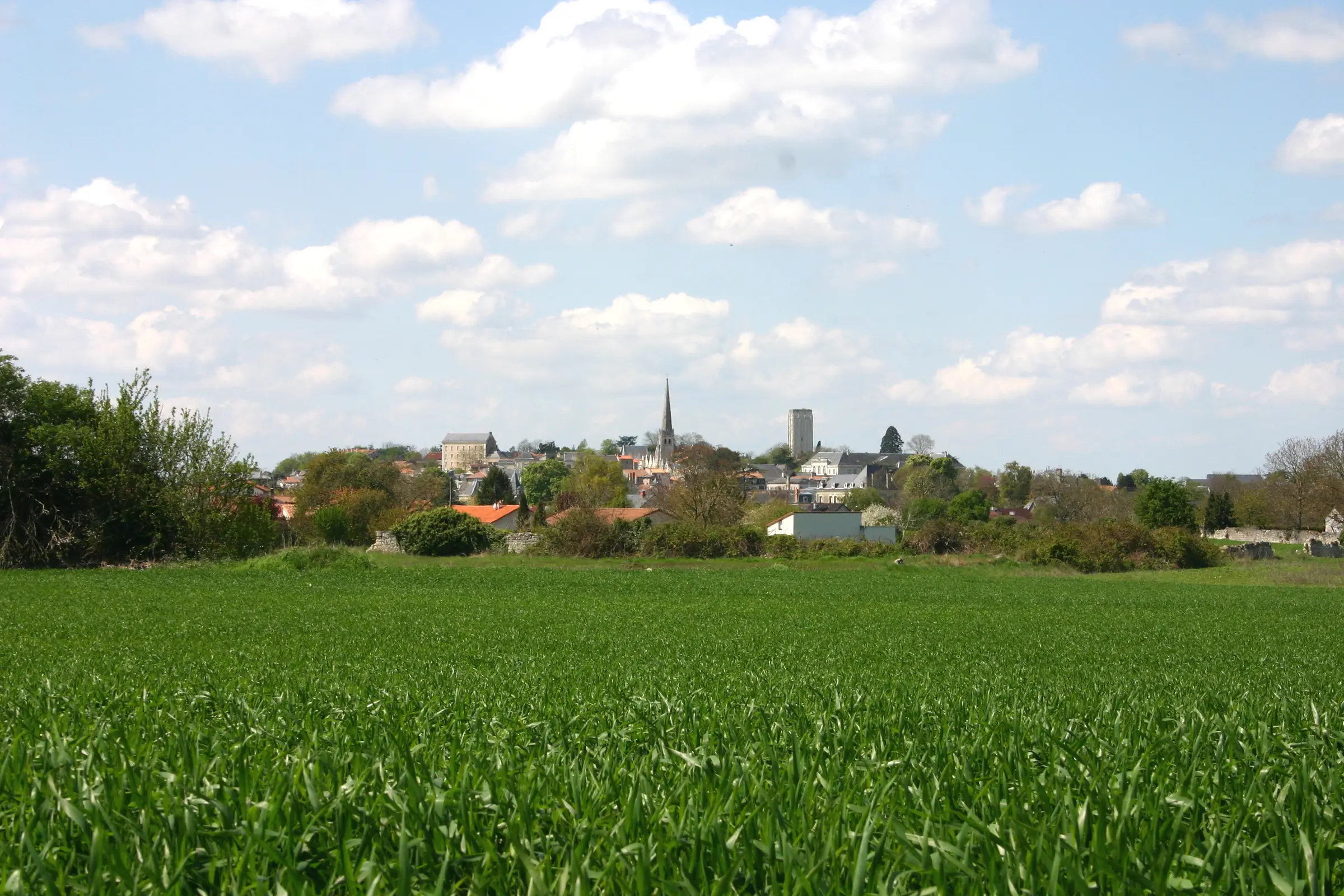 Journées Européennes du Patrimoine à Loudun