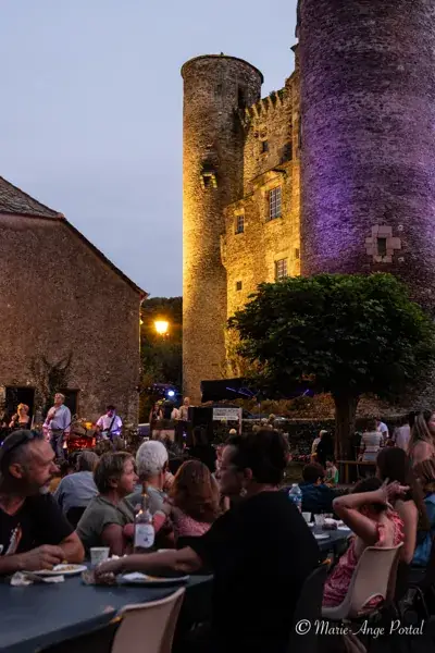 Spectacle nocturne :  LE GRAND CHAMBARDEMENT