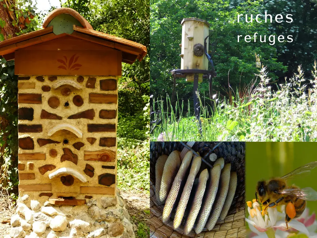 Animations abeilles