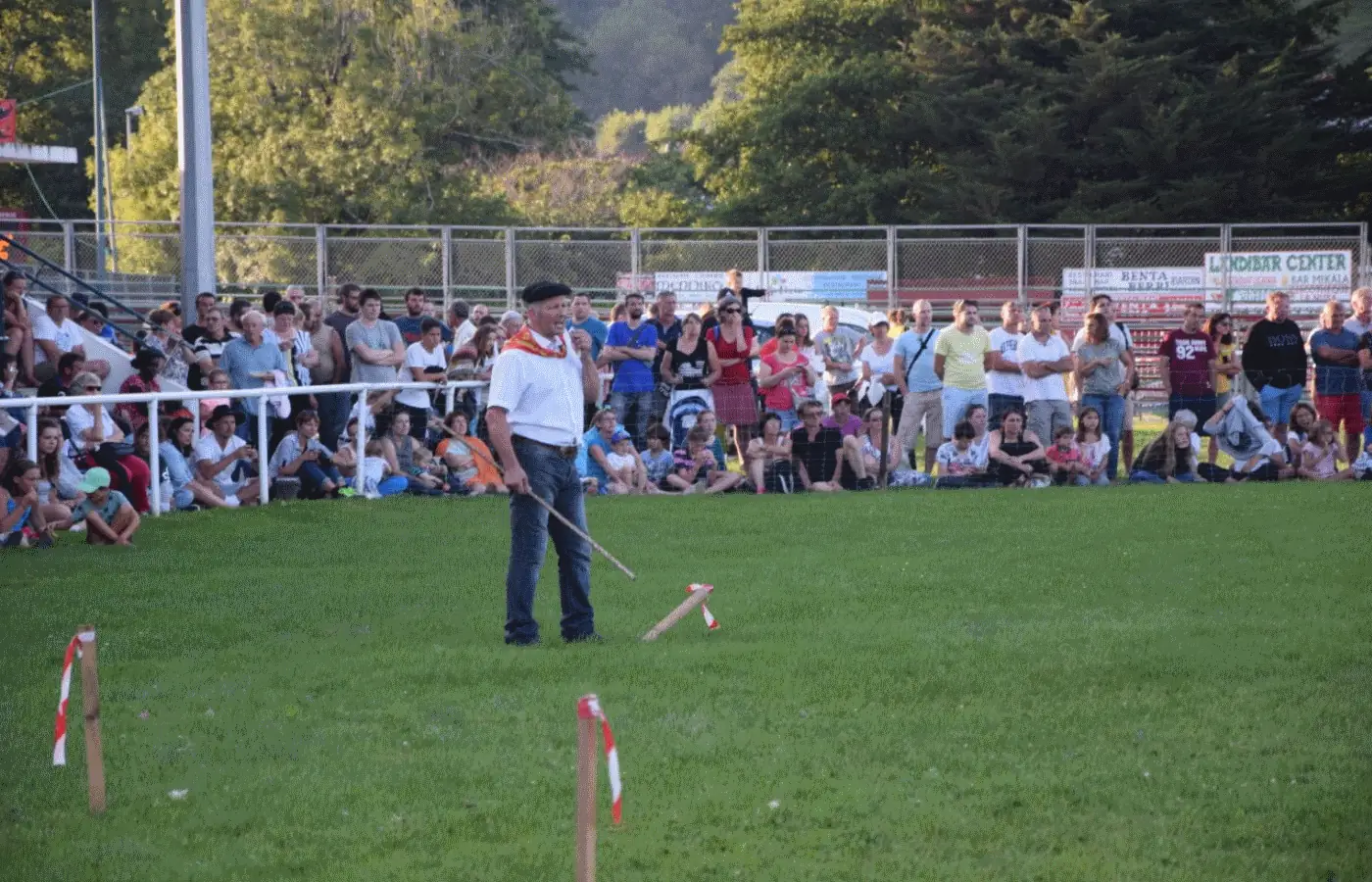 Concours de chiens de bergers