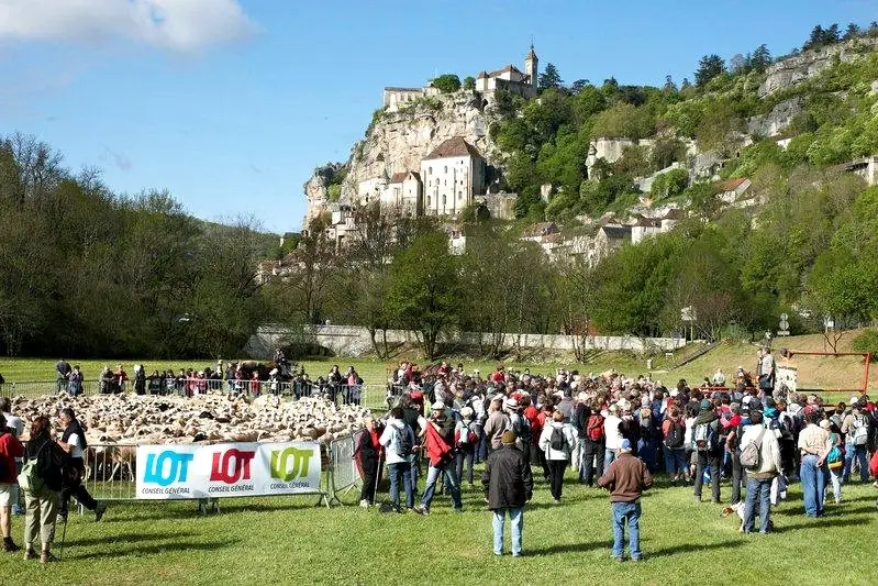 Transhumance de Rocamadour à Luzech