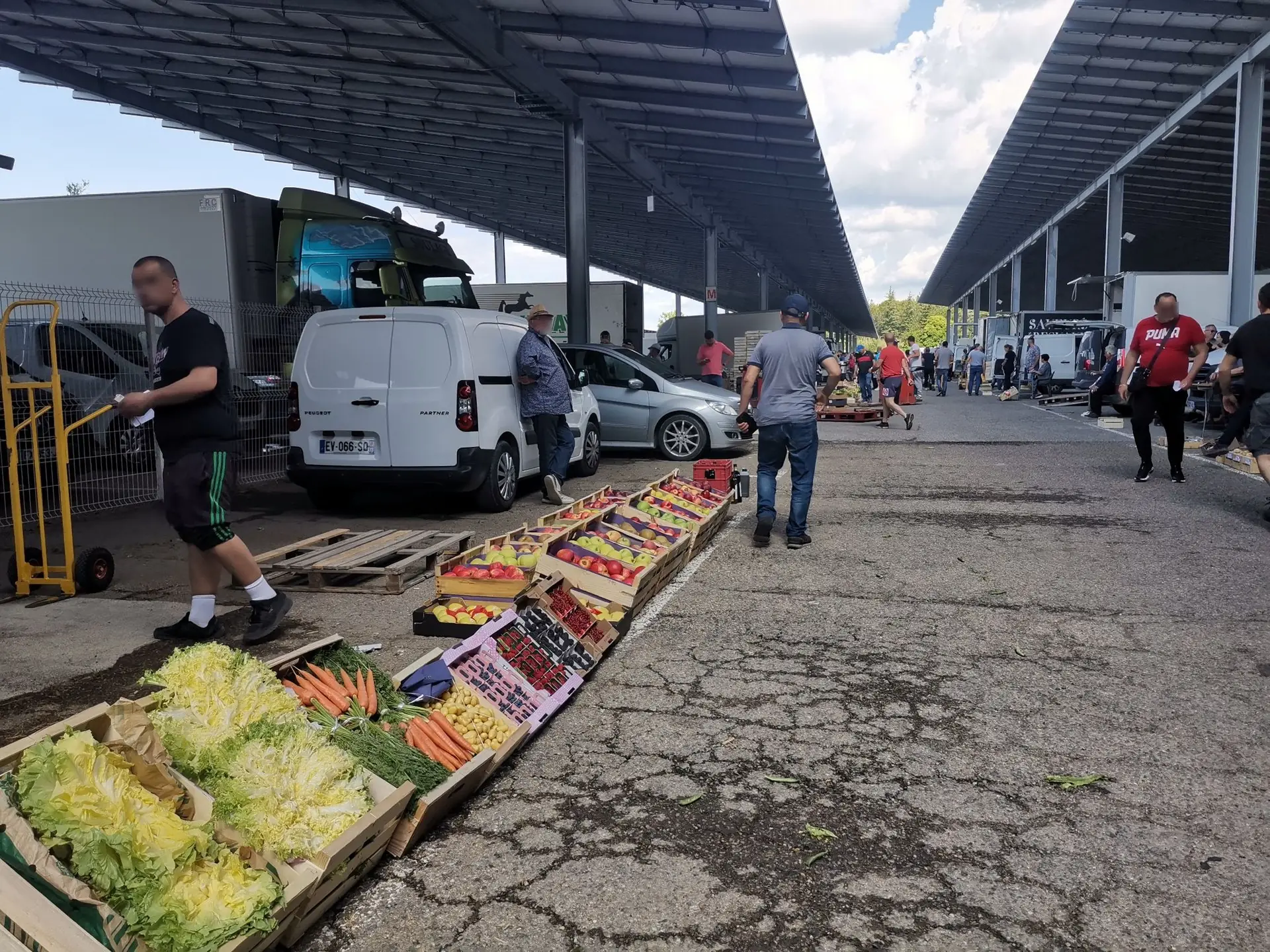 Marché aux Fruits et Légumes au gros