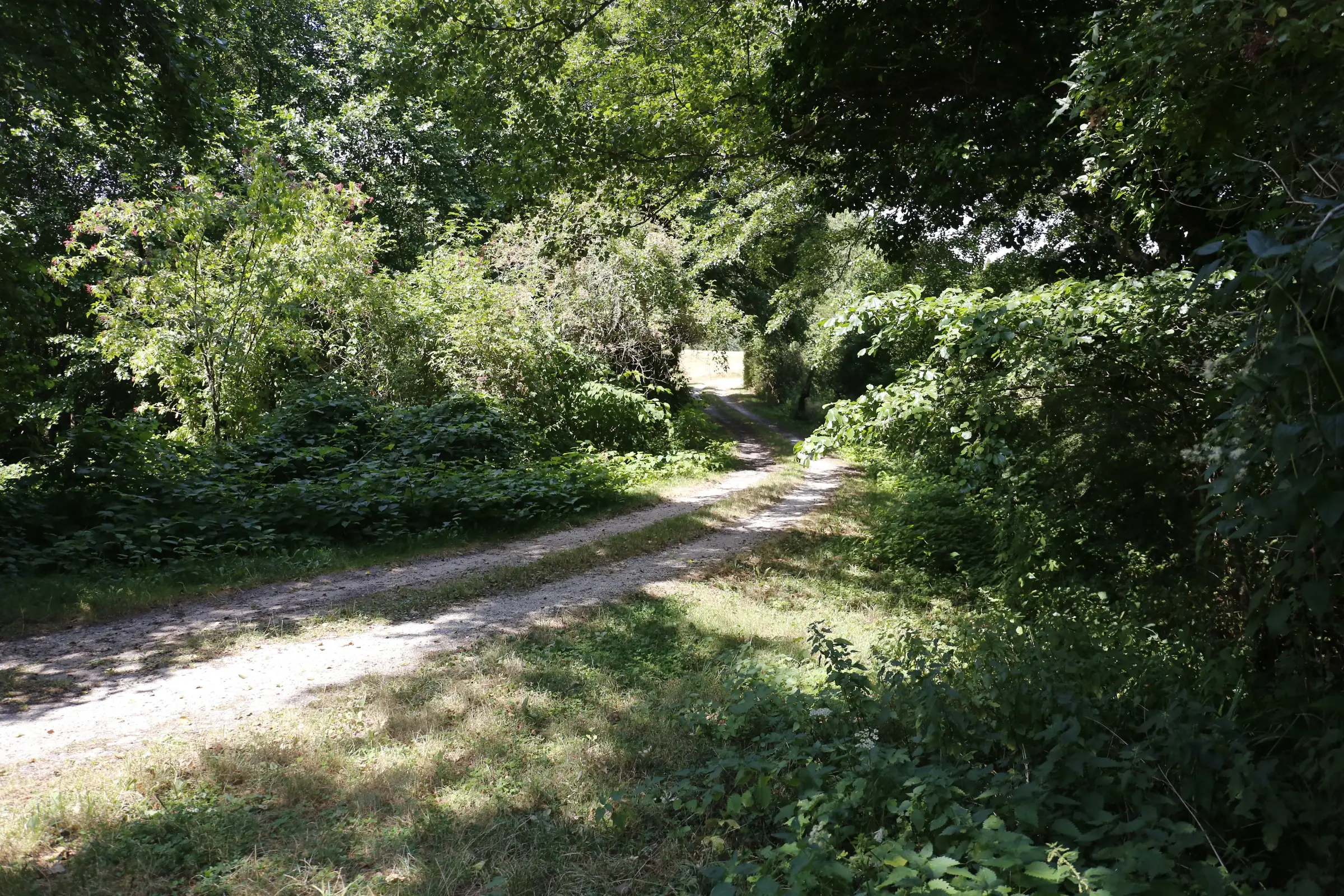 Chambon-la-Forêt