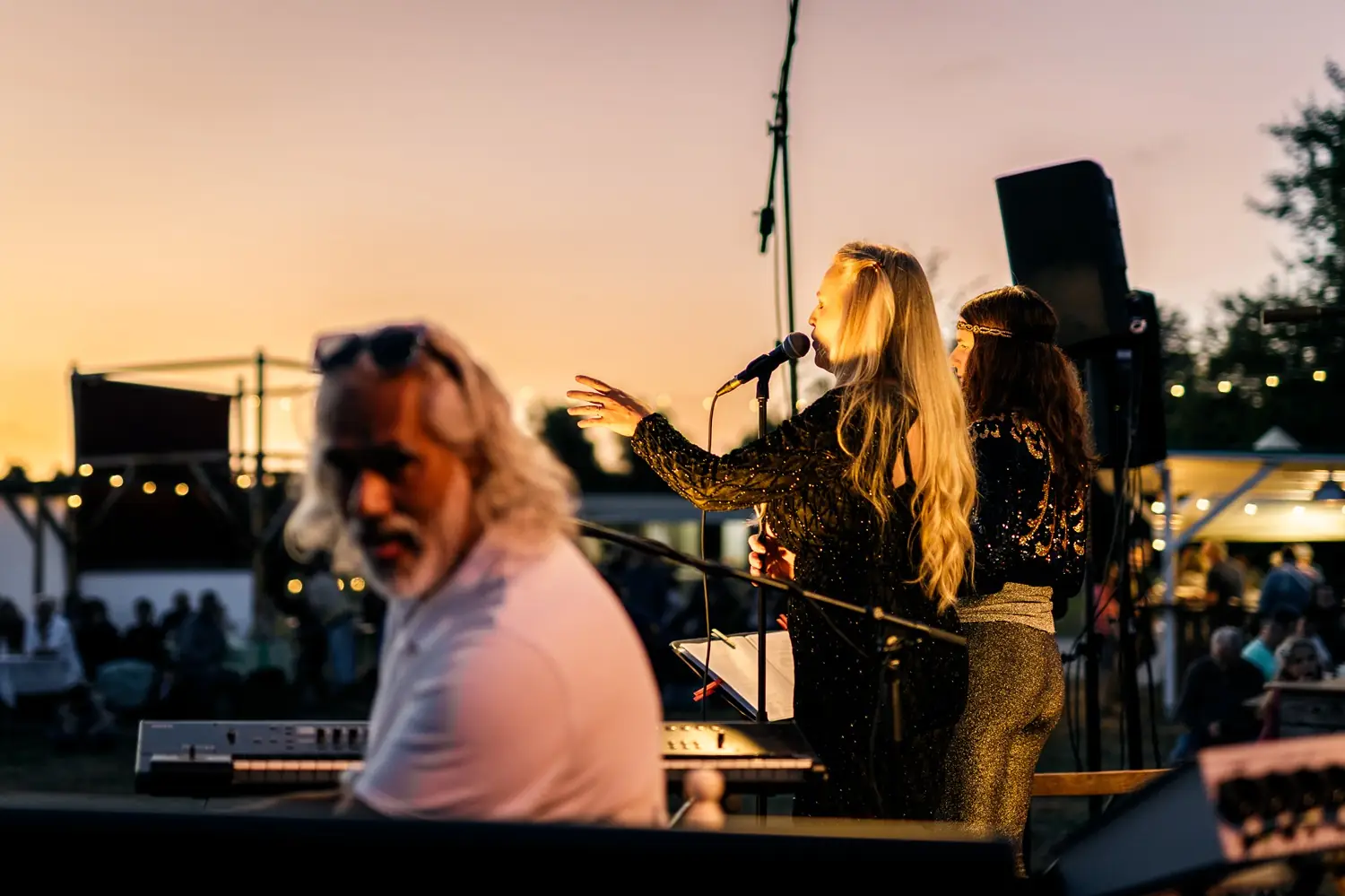 Concert sous les étoiles : Blues Story