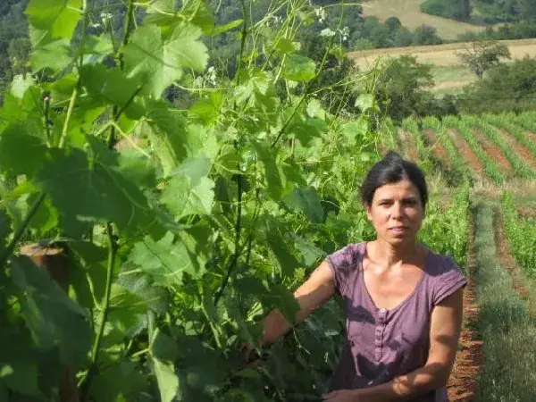 Domaine des Costes Rouges