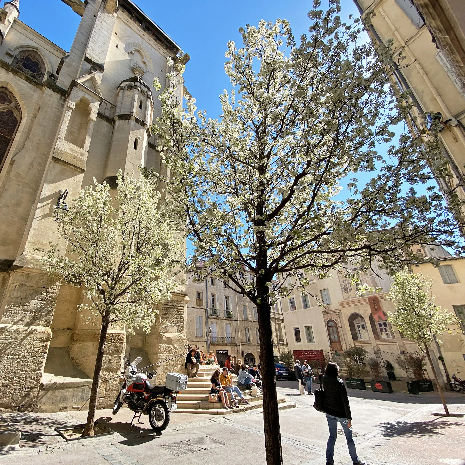 PLACE ET SANCTUAIRE SAINT ROCH