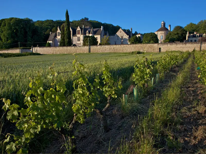 Château de la Vauguyon