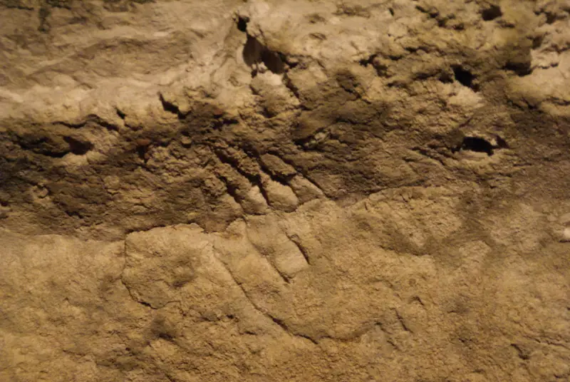 Grotte de Bara Bahau - Le Sanctuaire de l'Ours