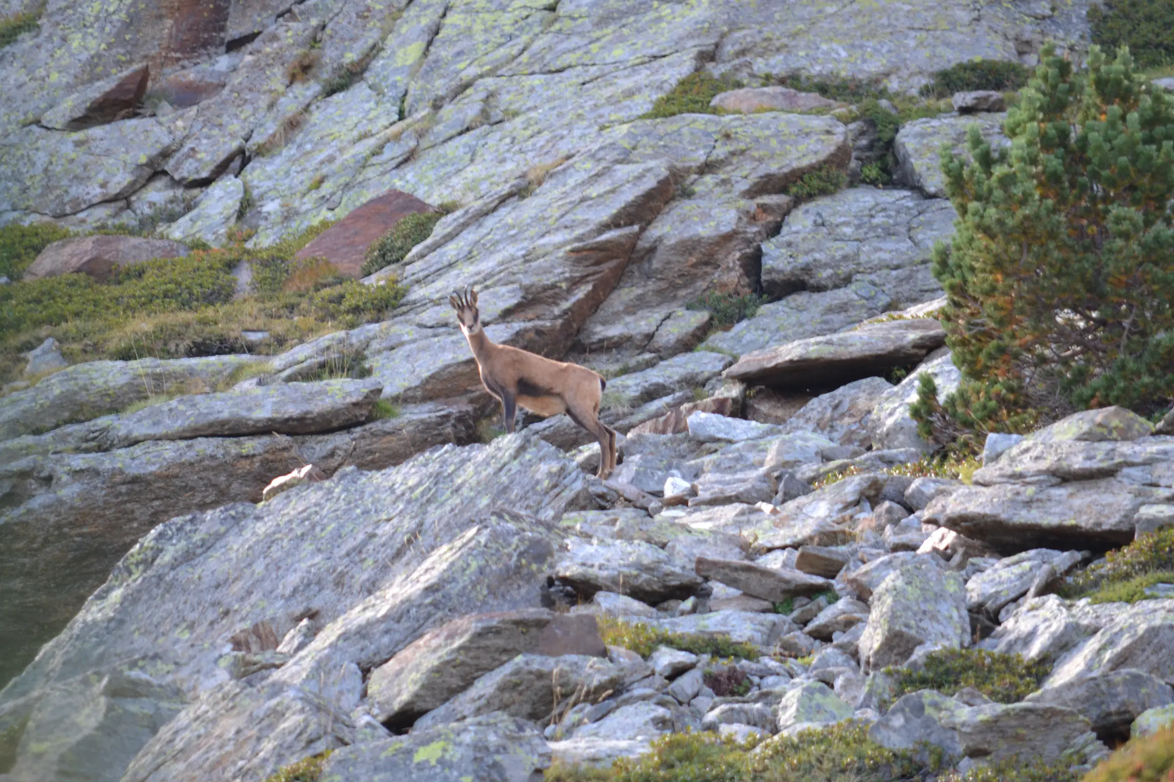 BAIN DE NATURE EN HAUT CONFLENT, PETITE RANDONNEE AVEC PASSCANIGO