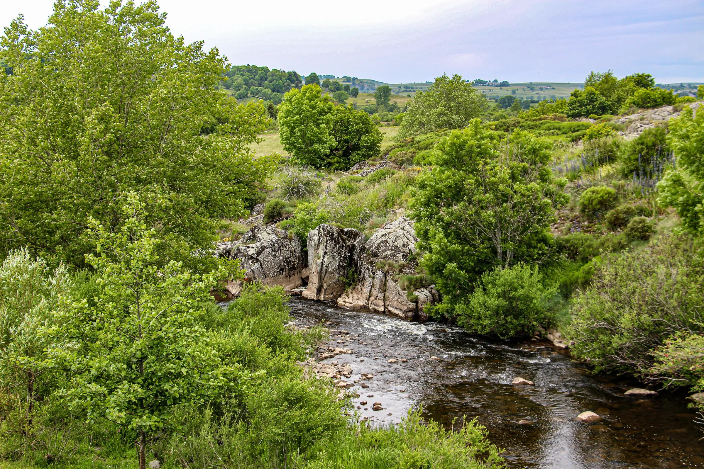 PONT DU GOURNIER